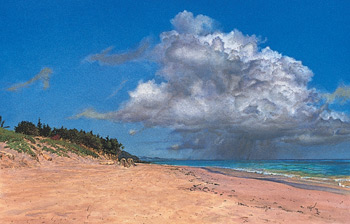 All the cloud edges are now softened in "Elbow Beach" by James Toogood.