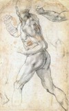 Male Nude by Michelangelo, drawing