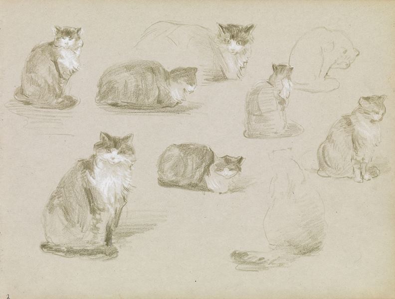 Elizabeth Nourse | Artist's Network | Drawing Cats