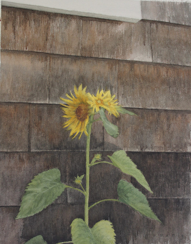 Wildflowers by Mario Robinson, Watercolor on Paper | How to Paint a Wild Sunflower | Artists Network