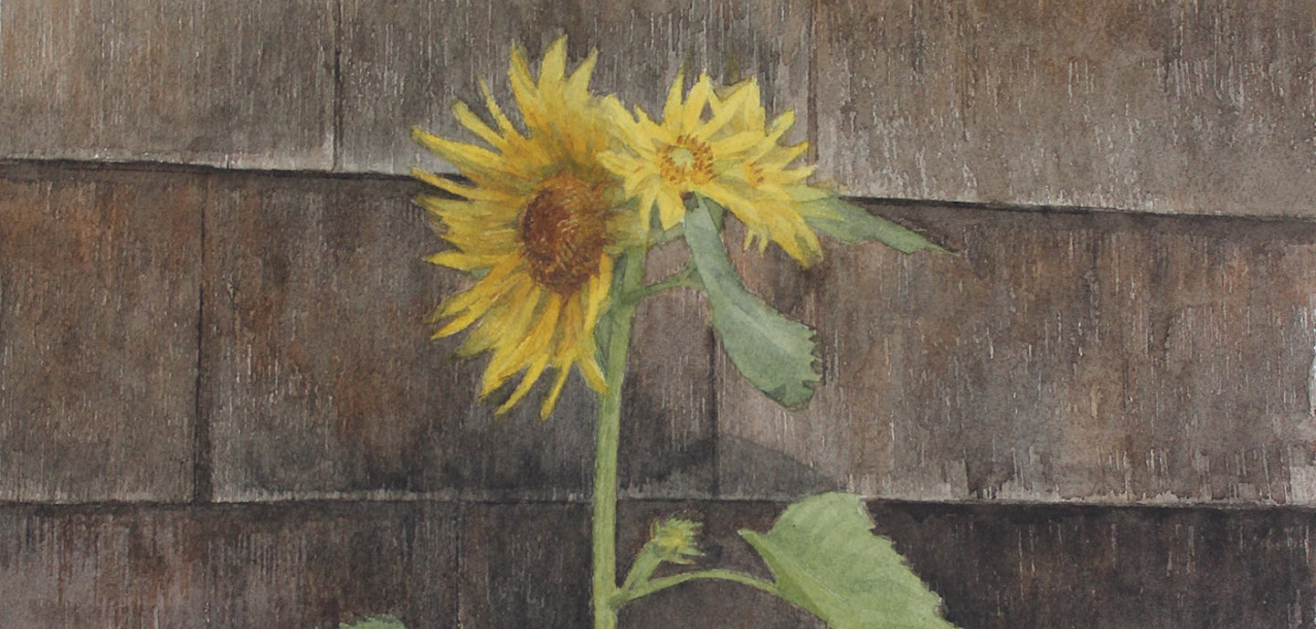 Wildflowers by Mario Robinson (detail) | How to Paint a Wild Sunflower | Artists Network