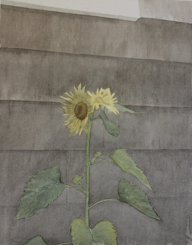 Step 5: How to Paint a Wild Sunflower by Mario Robinson | Artists Network