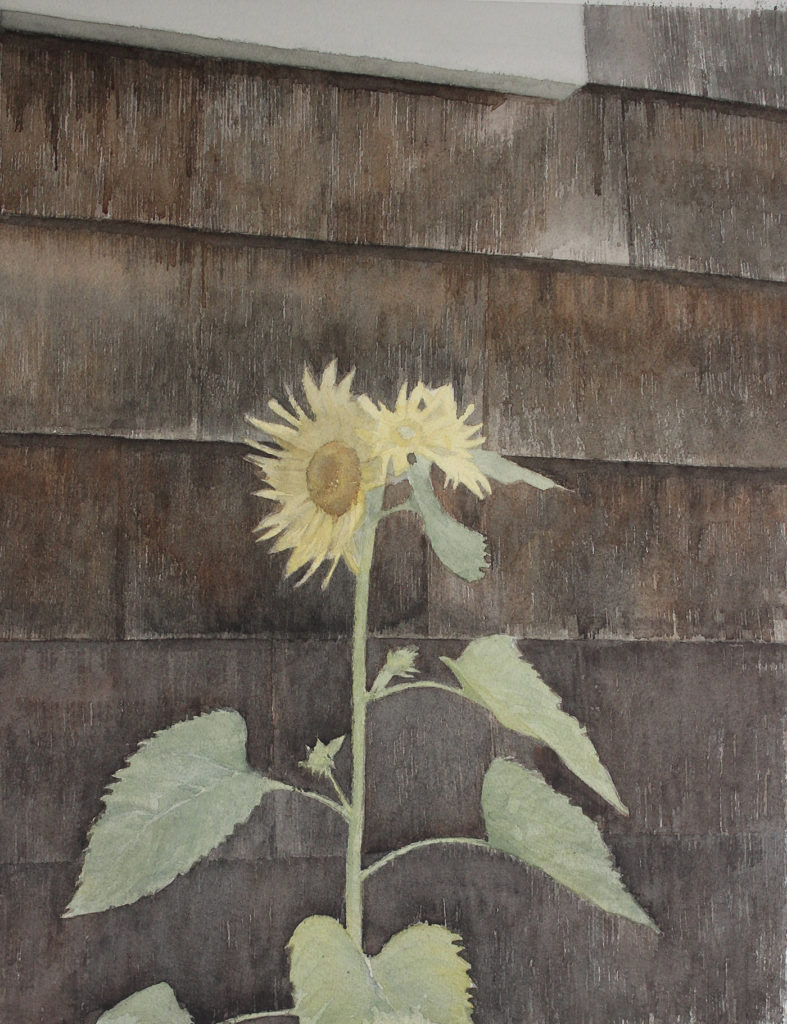 Step 6: How to Paint a Wild Sunflower by Mario Robinson | Artists Network